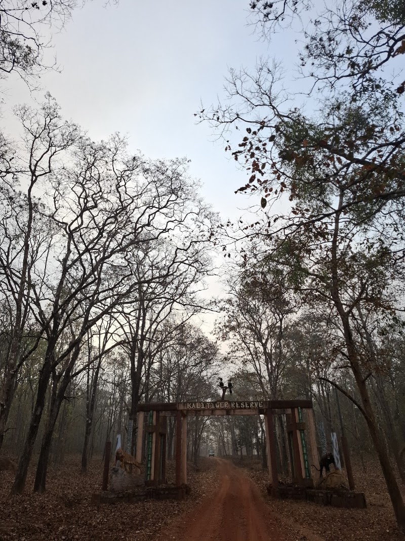 Dandeli wildlife safari - Dandeli wildlife safari, Kulgi, Karnataka 581363, India