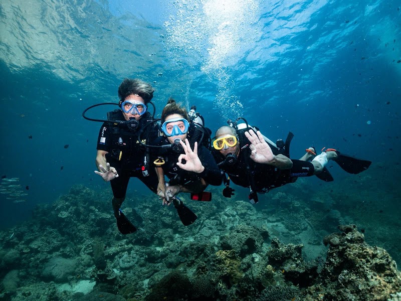 Princess Divers - Scuba Diving Phi Phi Island - Princess Divers - Scuba Diving Phi Phi Island 103 Phi Phi Island Tambon Ao Nang, Krabi Chang Wat Krabi 81000, Thailand