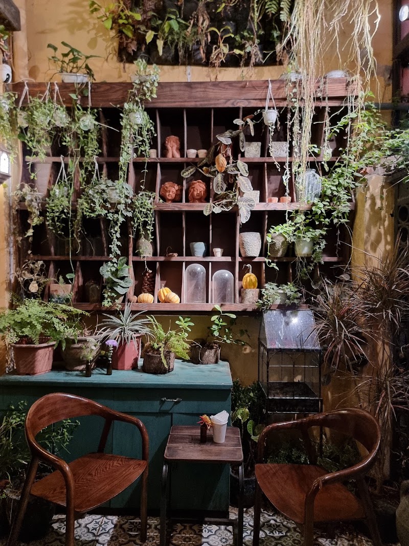 Mira Florist - Mira Florist, 46B P. Quán Sứ, Hoàn Kiếm, Hà Nội, Vietnam