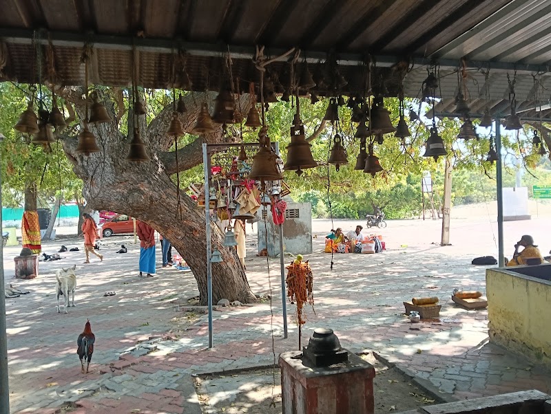 Shri Nambunayaki Amman Temple, Rameswaram - Shri Nambunayaki Amman Temple, Rameswaram, Rameswaram, Tamil Nadu 623526, India