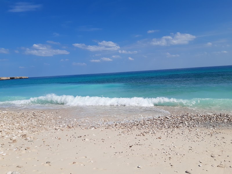 White Beach, Fins - White Beach, Fins, V6VC+6V8, Oman