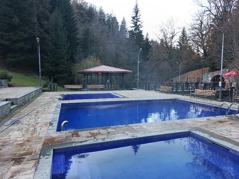 Borjomi Sulfur Pools - Borjomi Sulfur Pools, 9 ბარათაშვილის ქუჩა, Borjomi 1200, Georgia