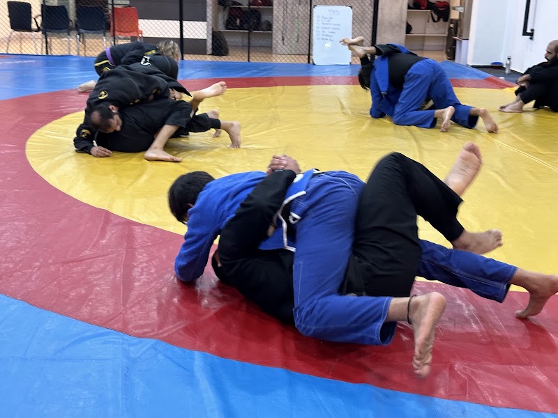 ULTIMATE FITNESS CLUB (P-TOWN WEST MMA) - ULTIMATE FITNESS CLUB (P-TOWN WEST MMA) Ground Floor, Vithala Rukmini Mandir, Baner Gaon, Baner, Pune, Maharashtra 411069, India