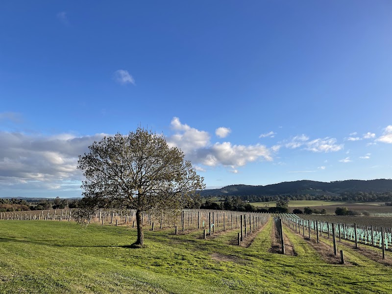 Yarrawood Estate - Yarrawood Estate, 1275 Melba Hwy, Yarra Glen VIC 3775, Australia