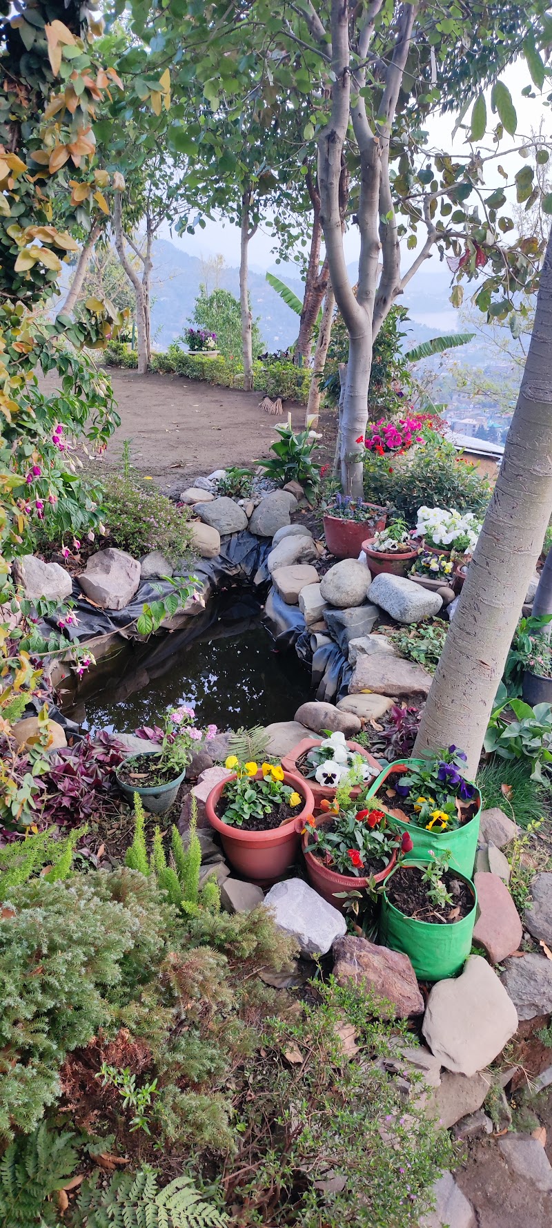 The Kumaoni Farm Cafe - The Kumaoni Farm Cafe Village Dhulai, Mahargaon, Uttarakhand 263132, India