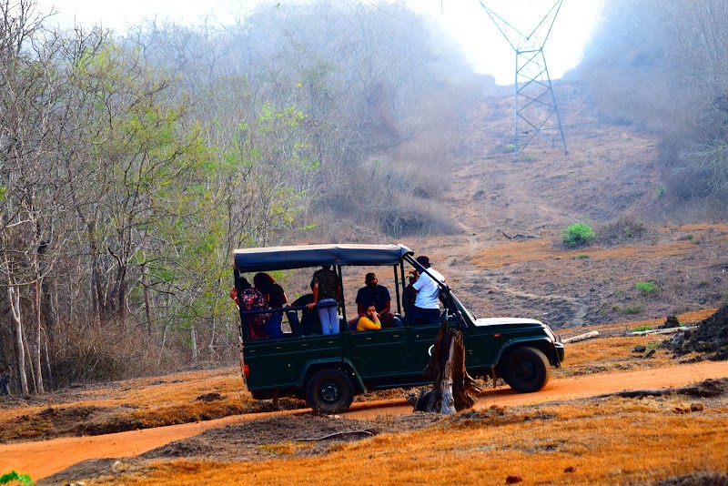 Kabini Lake View Resort - Kabini Lake View Resort 14/98, Manchegowdanahalli, Antharasanthe Hobli, Taluk, Heggadadevankote, Manchegowdanahalli, Karnataka 571114, India