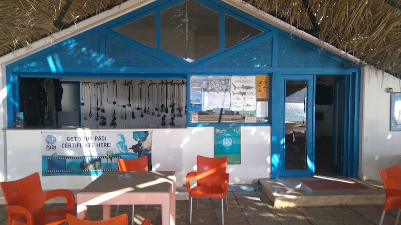 Blue Realm Dive Club - Blue Realm Dive Club, Lagoon Club & Resort, Dahab, South Sinai Governorate 8771501, Egypt