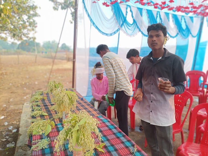 Sarna Toli Netarhat - Sarna Toli Netarhat F7PF+R3R, Netarhat, Jharkhand 835218, India