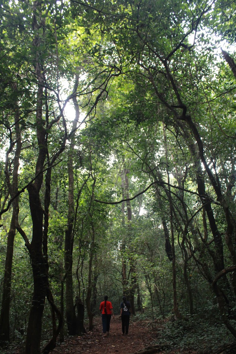 Janaki Forest - Janaki Forest, JQGV+79Q, Maruthonkara, Kerala 673513, India
