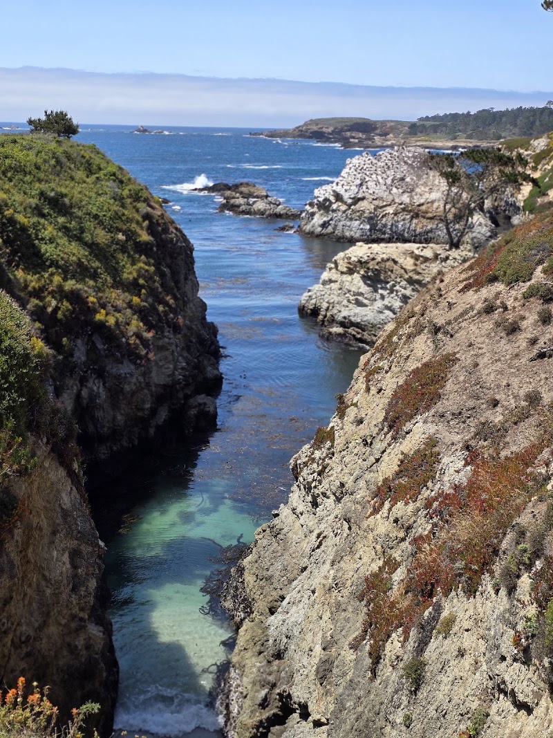 Point Lobos State Natural Reserve - Point Lobos State Natural Reserve Carmel-By-The-Sea, CA 93923, USA