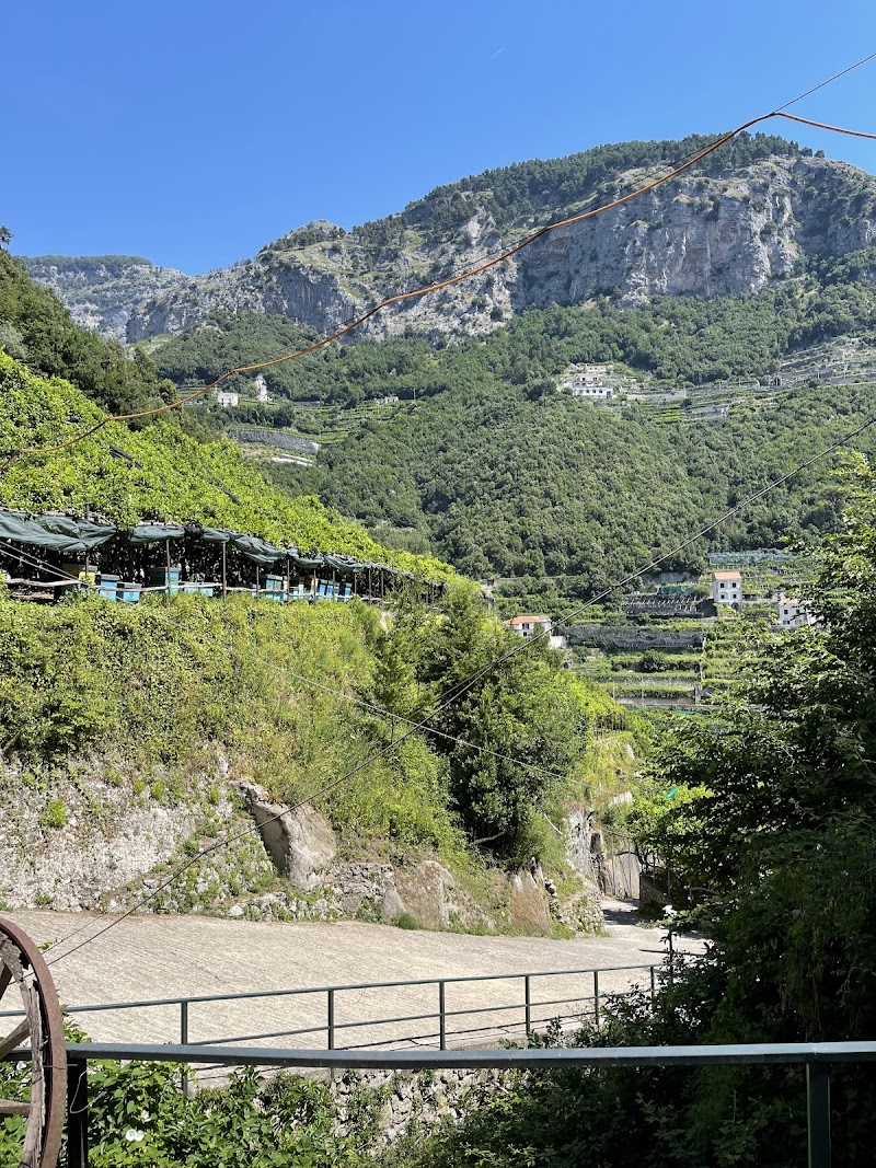 Amalfi Lemon Experience - Amalfi Lemon Experience, Via delle Cartiere, 59, 84011 Amalfi SA, Italy
