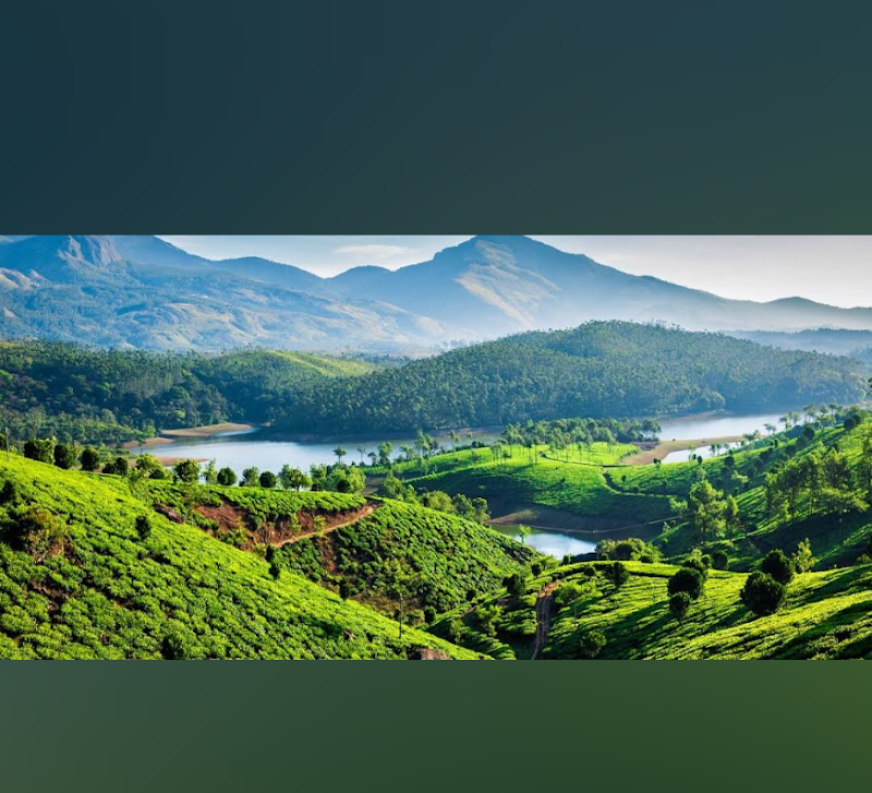 Tea plantation View point - Tea plantation View point 33F4+GQ, Kannan Devan Hills, Kerala 685612, India