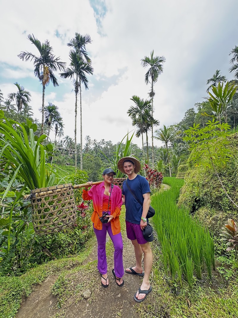 Bali Driver & Tour Guide by Dewa - Bali Driver & Tour Guide by Dewa, Jl. Raya Gentong, Tegallalang, Kecamatan Ubud, Kabupaten Gianyar, Bali 80561, Indonesia