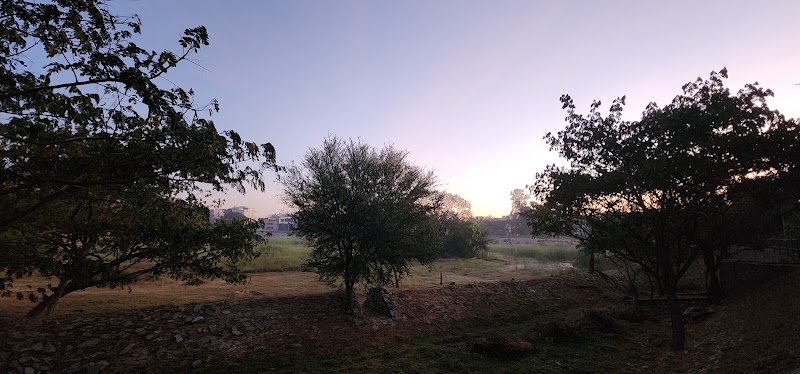 BBMP Park - BBMP Park WJJG+CM5, 4th Block, 5th Block, Koramangala, Bengaluru, Karnataka 560034, India