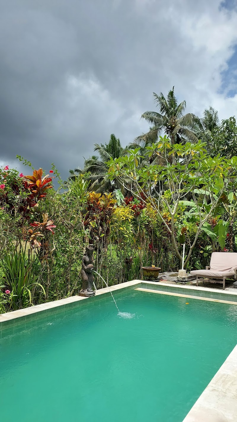 Buddha Home Stay - Buddha Home Stay, Jalan Sokwayah, Ubud, Kecamatan Ubud, 80571 Ubud, Bali 80571, Indonesia