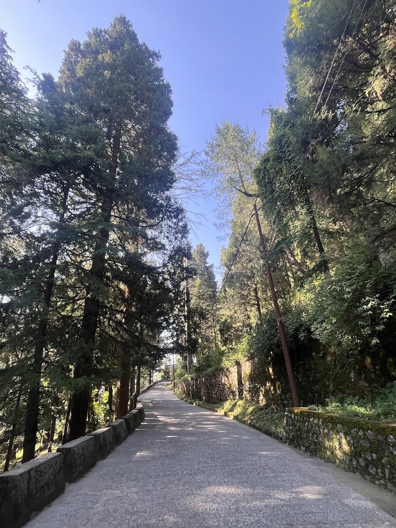 Landour Villa & Cottage - Landour Villa & Cottage, F37V+2JH, Naya Mohalla, Landour, Mussoorie, Uttarakhand 248179, India