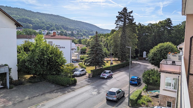 Hotel Olympia - Hotel Olympia, Lindenallee 42, 63619 Bad Orb, Germany