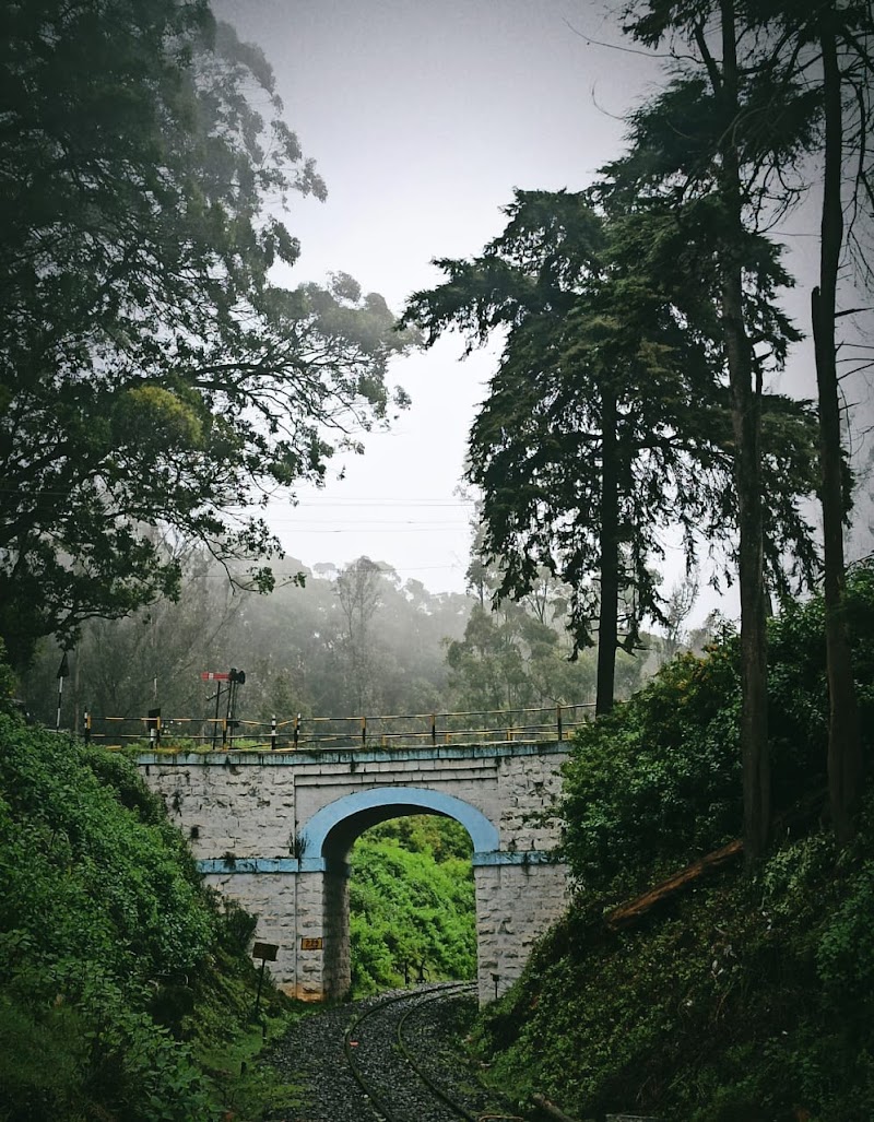 Lovedale - Lovedale Lovedale, Ooty, Tamil Nadu 643003, India
