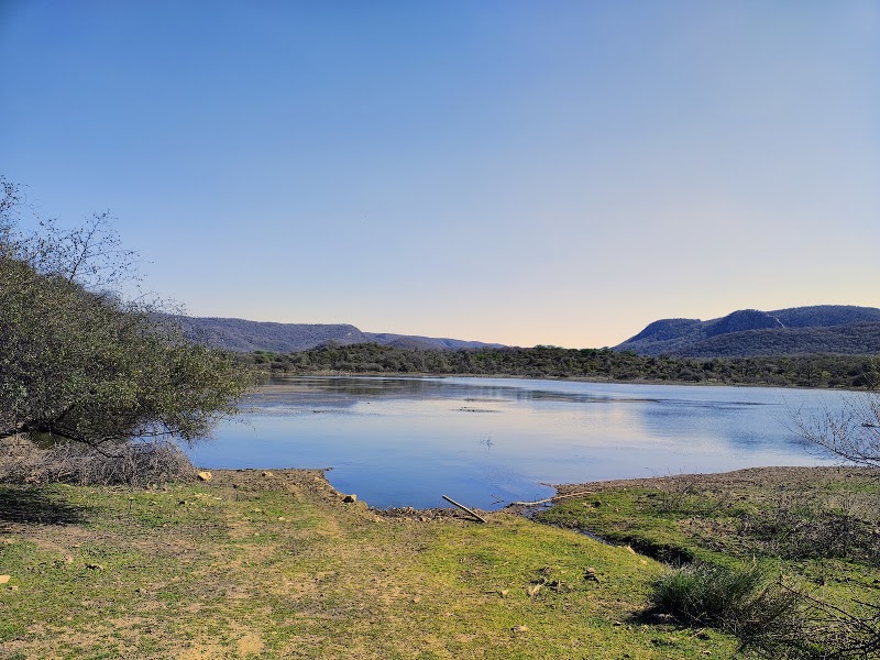 Sariska Tiger Reserve - Sariska Tiger Reserve Rajasthan, India