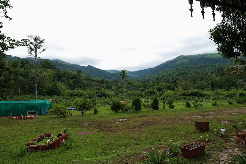 Malagar Valley Homestay - Malagar Valley Homestay 6/1, Malagar Village, Jagara Hobli, Kemmannugundi Mutthodi Link Road, Attigundi, Post, Malagaru, Karnataka 577130, India
