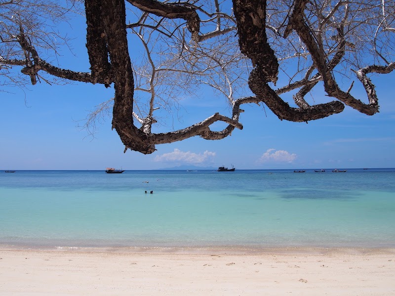 Shark Bay - Shark Bay Shark Bay, Bang Bumru, Bang Phlat, Bangkok 10700, Thailand