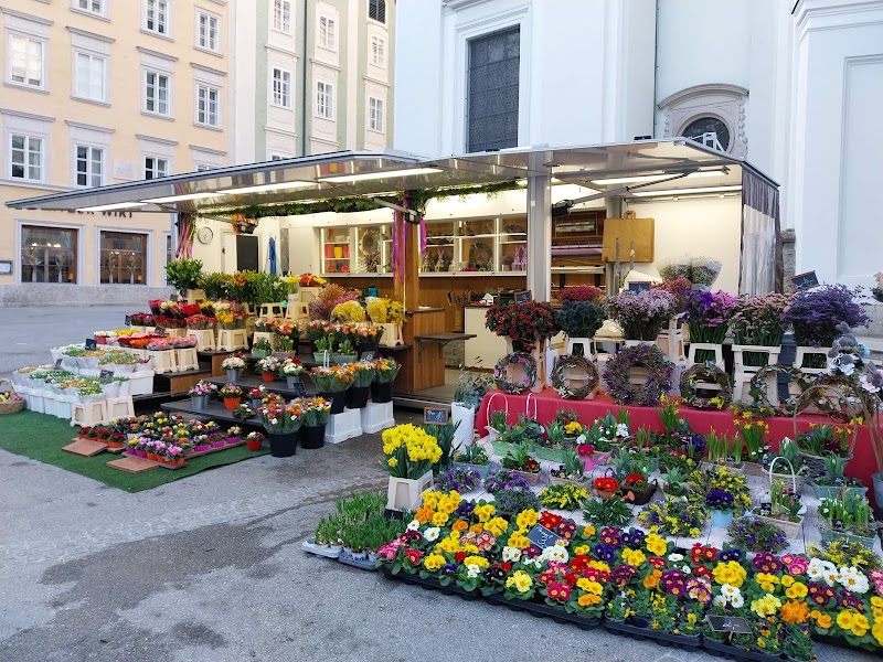 Blumen Sappi - Blumen Sappi Grünmarkt vor der Kirche, Universitätspl., 5020 Salzburg, Austria