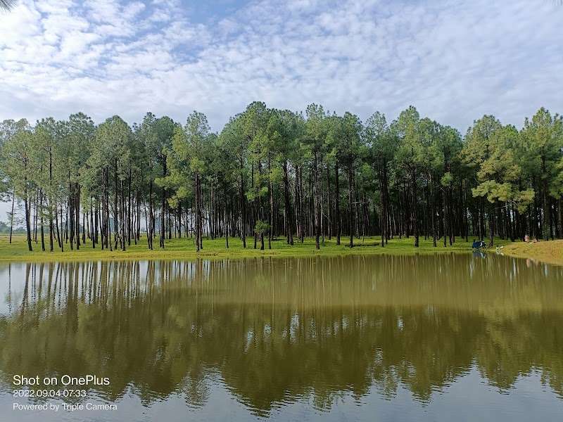 Magnolia, Sunset Point, Netarhat - Magnolia, Sunset Point, Netarhat G6CC+V84, Korgi, Jharkhand 835218, India