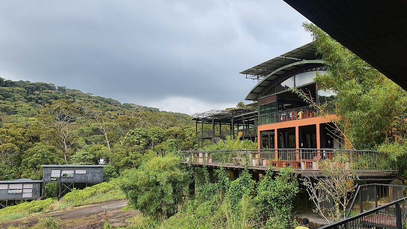The Rainforest Ecolodge - Sinharaja
