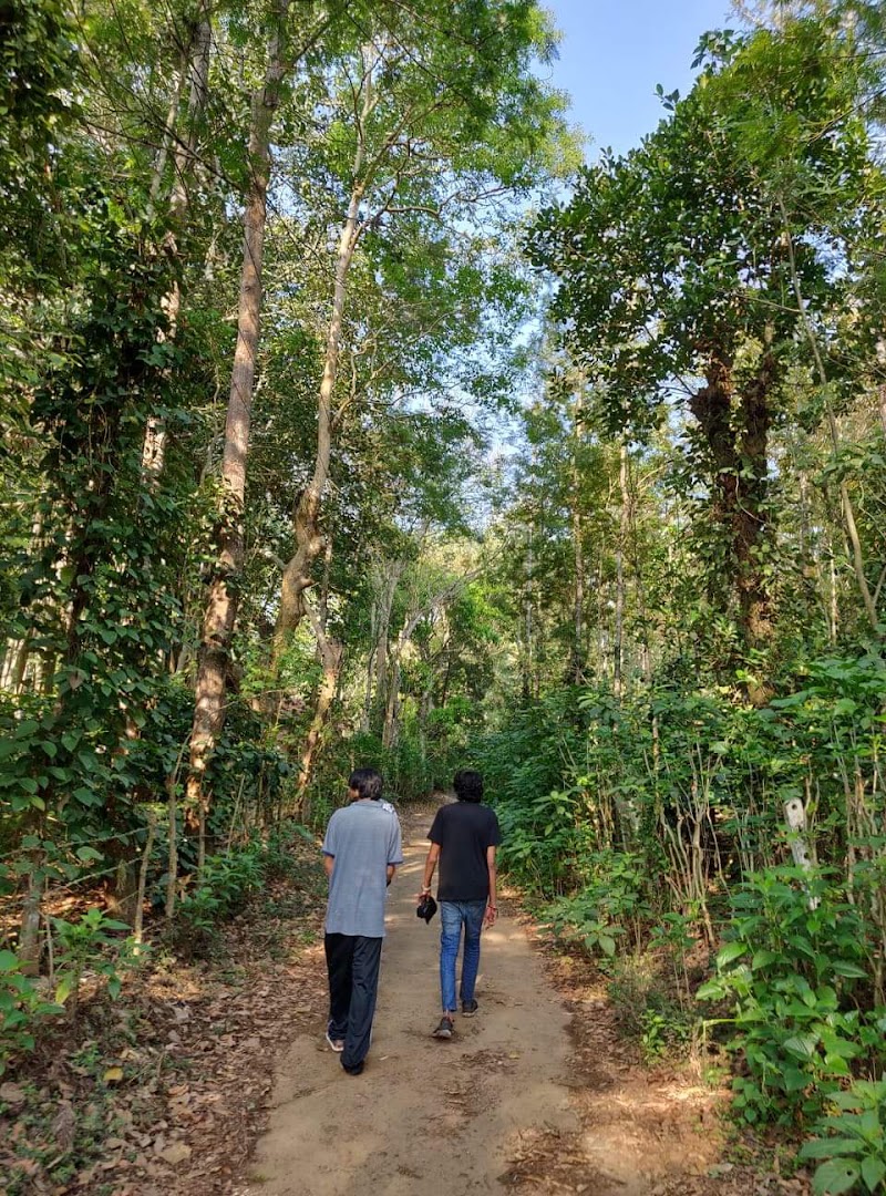 The Last Resort - The Last Resort, S.No. 24, Hosapatna Village, Kushalnagar, Nanjarayapatna Post, Hosapatna, Coorg, Rangasamudra, Karnataka 571234, India