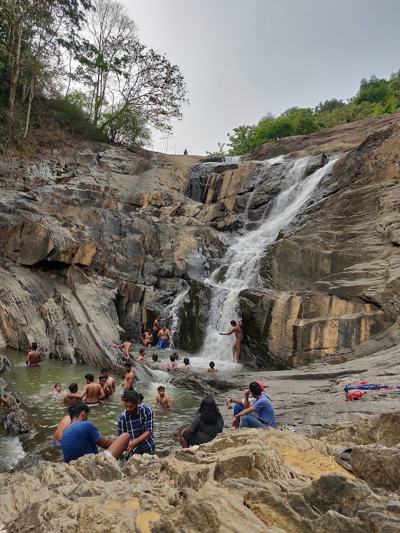 Wayanad Guide - Wayanad Guide, Meppadi, Natham Kuni, Kalpetta, Meppadi, Keralam 673577, India