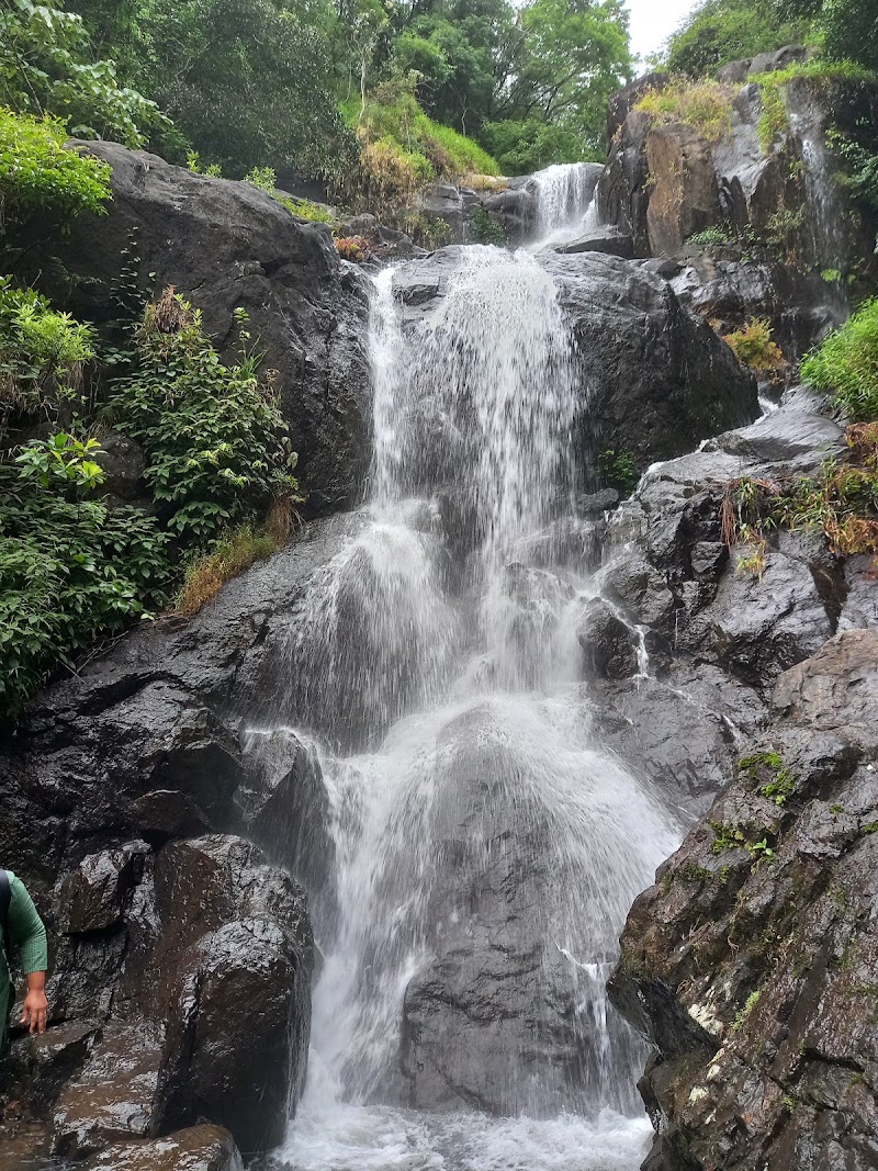 Chirapullu Peak - Chirapullu Peak PW53+MG6, Kerala 670731, India