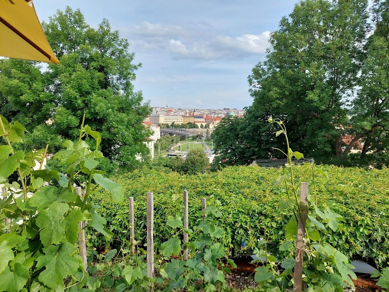 Wine Bar Villa Richter - Wine Bar Villa Richter, Staré zámecké schody 8, 119 00 Praha 1-Hradčany, Czechia