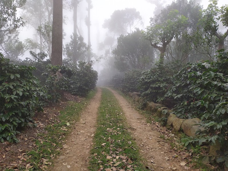Cauvery Peak Estate - Cauvery Peak Estate, S Narthenchedu, Tamil Nadu 636602