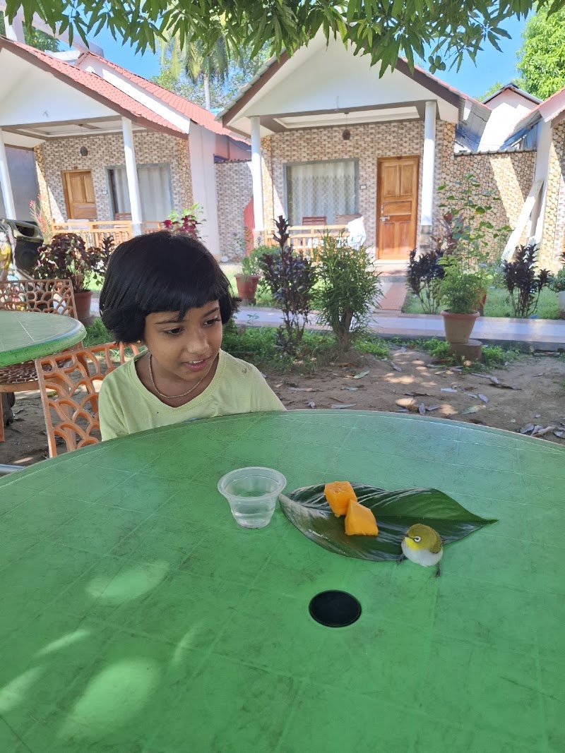 Sandy Ridge Resort - Sandy Ridge Resort, Village road, Neil Kendra, Lakshmanpur, Andaman and Nicobar Islands 744104, India