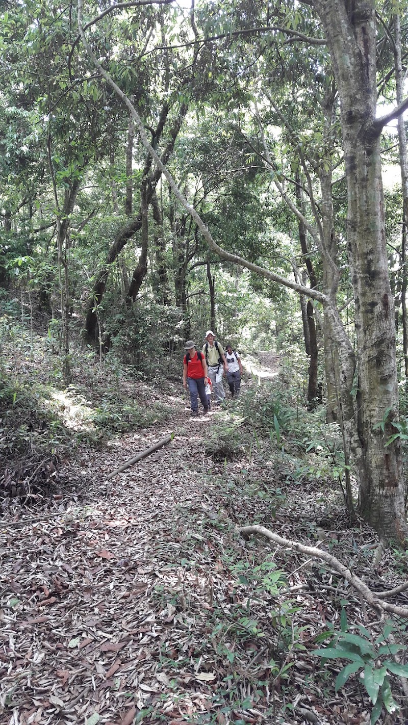 Yangsum Heritage Farm, Yangsum Chingthang - Yangsum Heritage Farm, Yangsum Chingthang Yangsum Chingthang, Block, Rinchenpong, Sikkim 737111, India