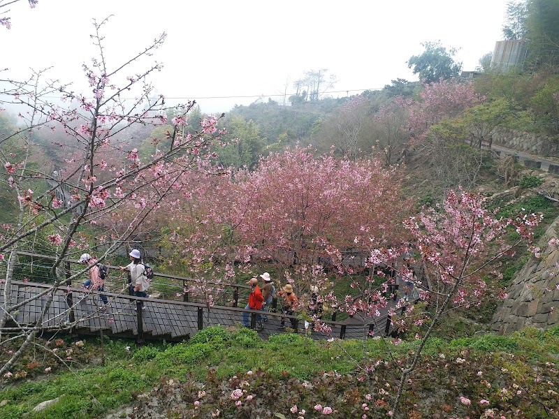 Shihjhuo - Shihjhuo Zhuqi Township, Chiayi County, Taiwan 604