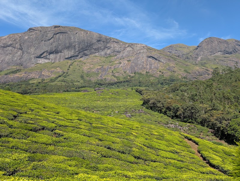 Eravikulam National Park - Eravikulam National Park Kannan Devan Hills, Kerala 685612, India