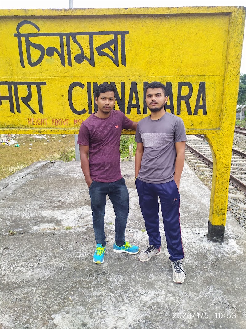 Cinnamara - Cinnamara, Jorhat, Assam, India