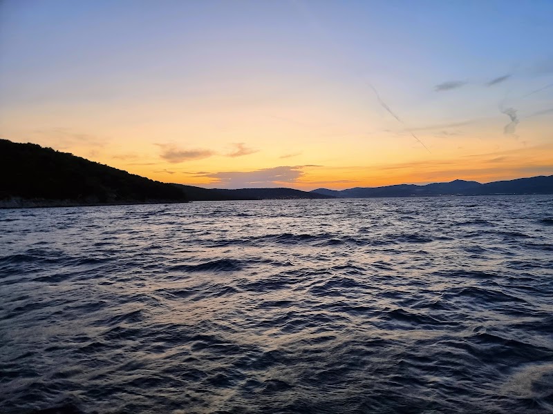 Dalmatian coastal - Dalmatian coastal, Croatia