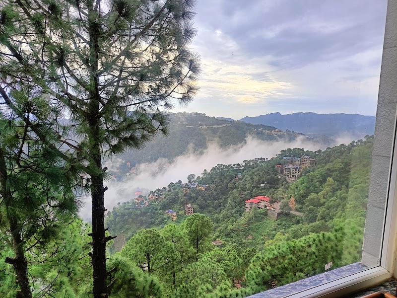 Velvet Hills - Velvet Hills, Near, Barog, Himachal Pradesh 173229, India