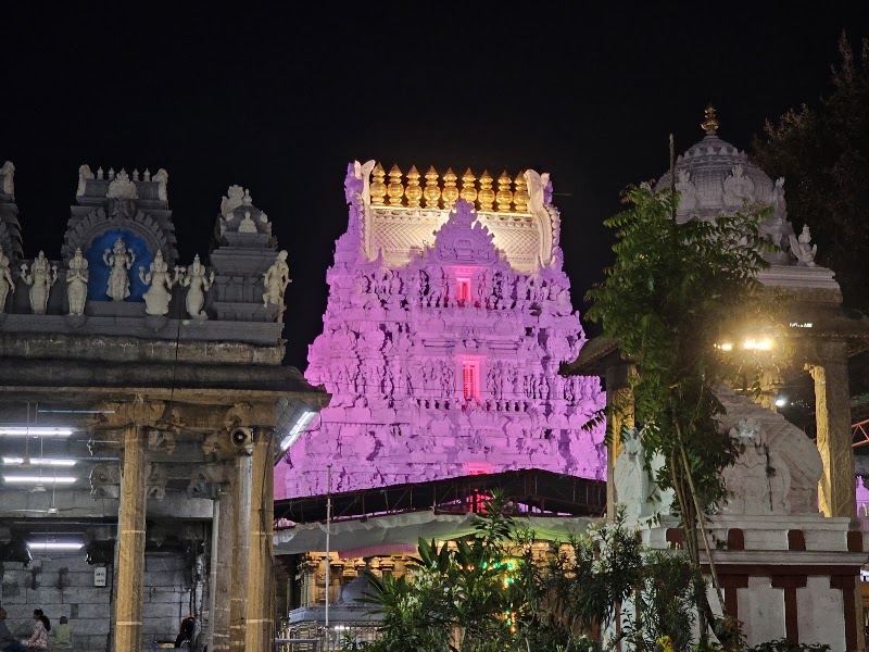 Sri Govindaraja Swamy Temple - Sri Govindaraja Swamy Temple, North Mada Street, Tirumala, Tirupati, Andhra Pradesh 517501, India