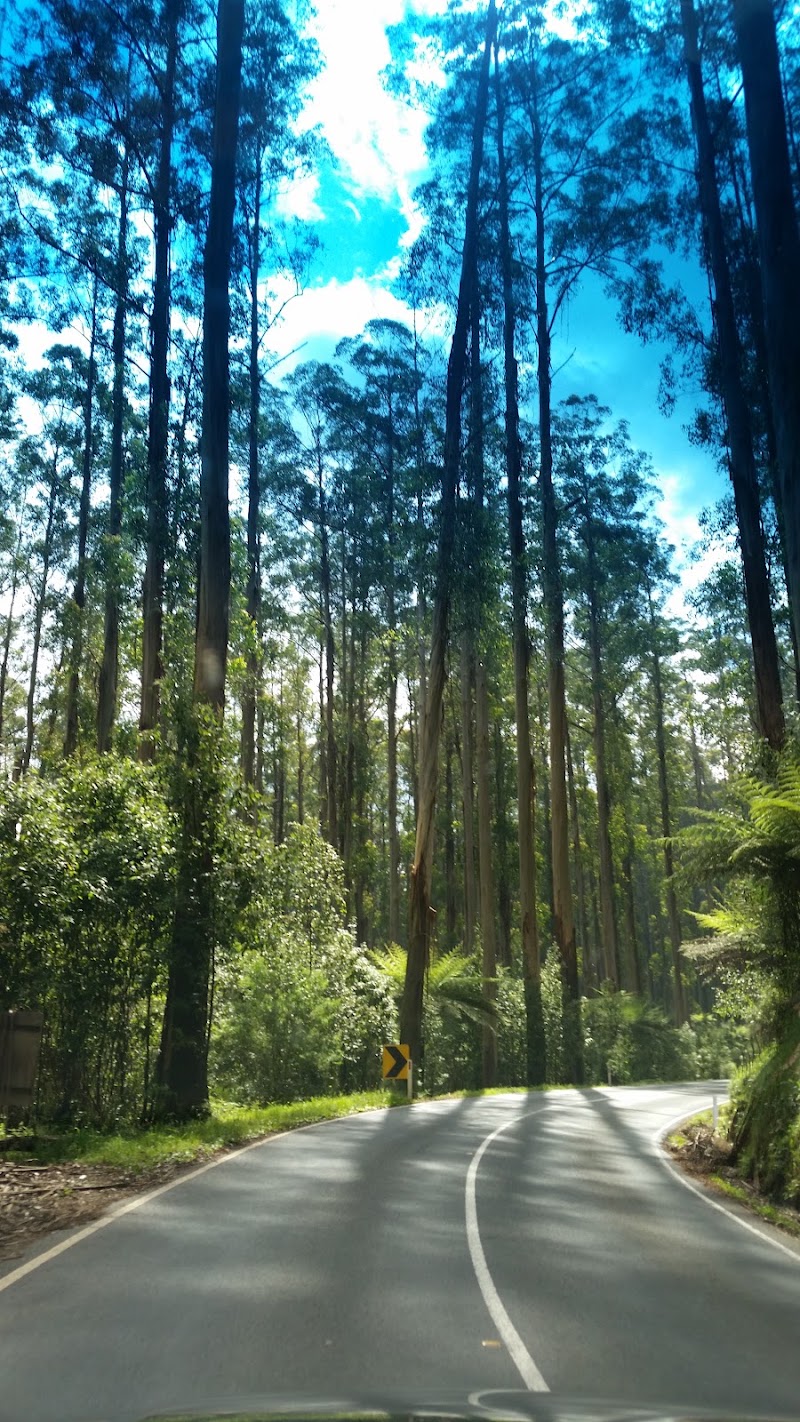 Yarra Ranges Shire - Yarra Ranges Shire, Yarra Ranges, VIC, Australia