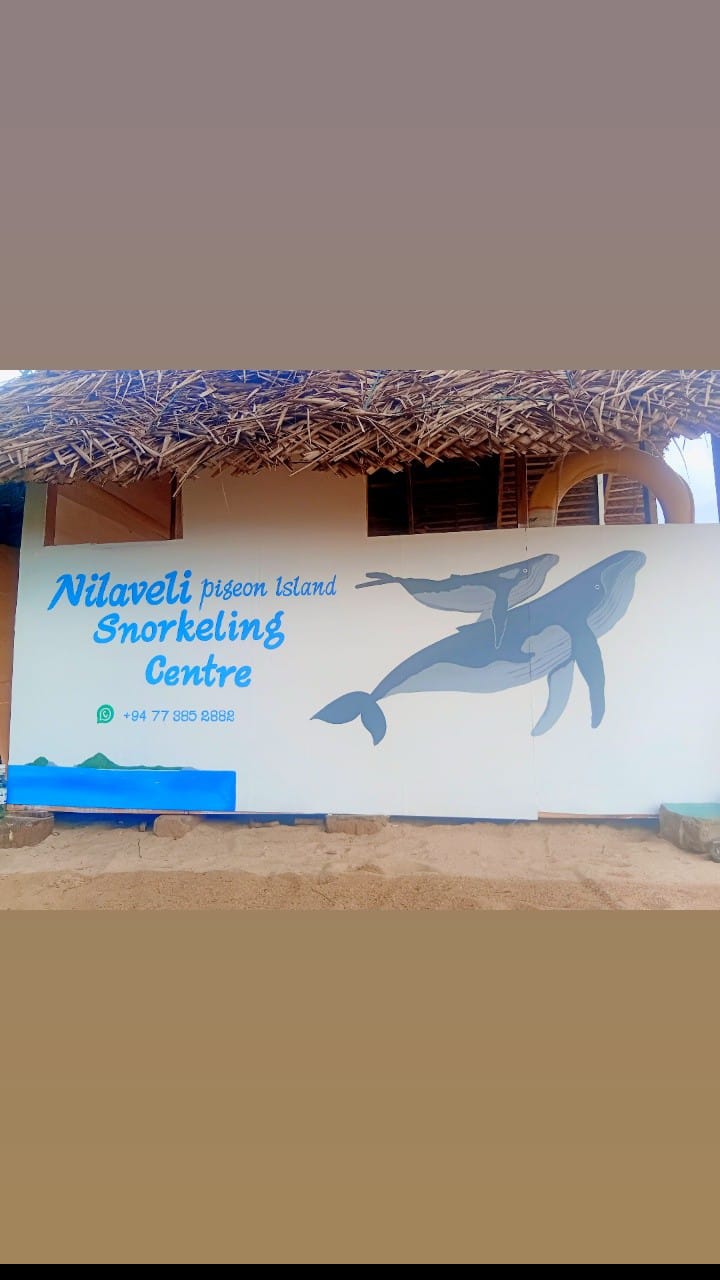 Pigeon Island Snorkeling Centre - Pigeon Island Snorkeling Centre Fisherman lane, Nilaveli 31010, Sri Lanka