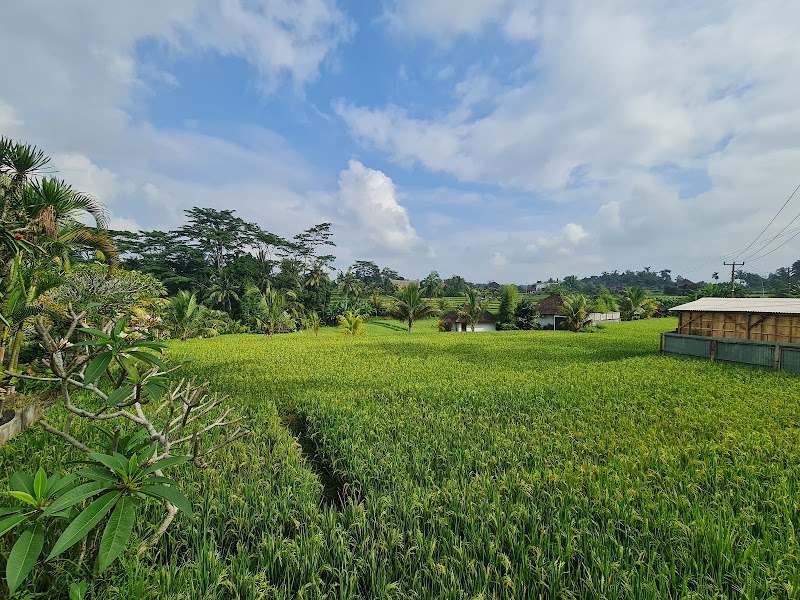 Ridgewalk start from north - Ridgewalk start from north G744+39P, Jl. Bangkiang Sidem, Keliki, Kec. Tegallalang, Kabupaten Gianyar, Bali 80561, Indonesia