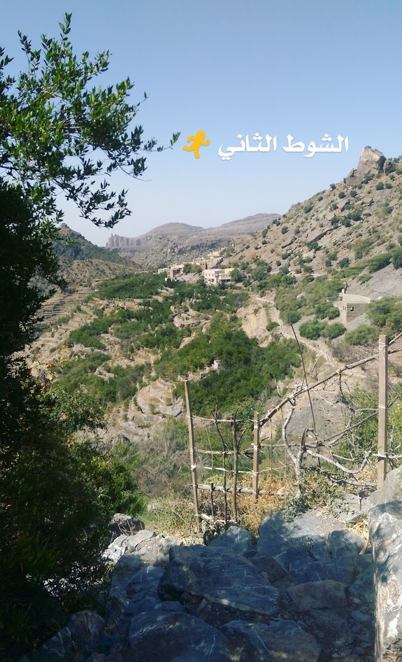 Saiq - Saiq, Oman