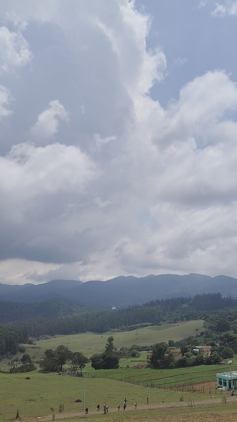 Ticket Counter - 9th Mile Shooting Spot | Ooty - Ticket Counter - 9th Mile Shooting Spot | Ooty CJRF+PP8, Nagapattinam - Coimbatore - Gundlupet Hwy, Sholur, Nanjanad, Tamil Nadu 643237, India