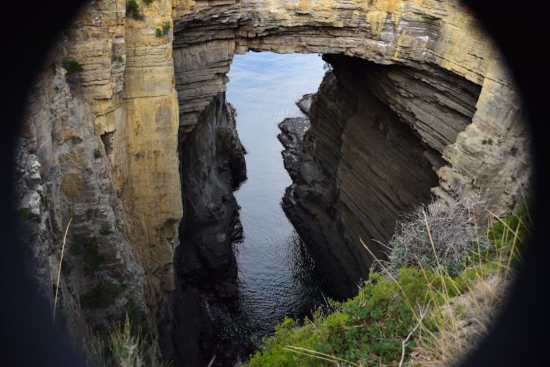 Tasmans Arch Road - Tasmans Arch Road, Tasmans Arch Rd, Eaglehawk Neck TAS 7179, Australia