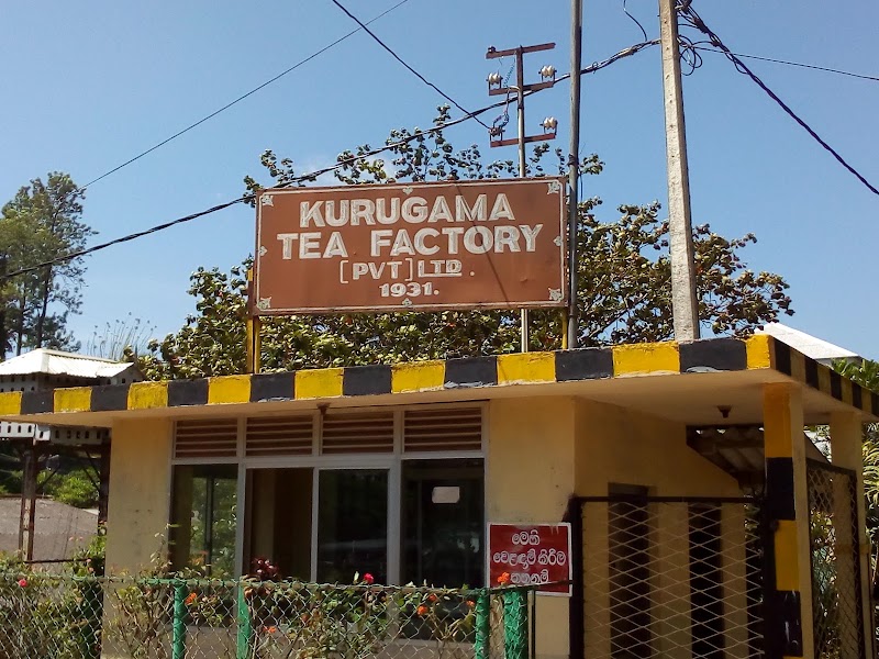 Kurugama Tea Factory - Kurugama Tea Factory, Muruthalawa, 8G4W+R86, Kurugama Tea Factory Road, Kandy 20232, Sri Lanka