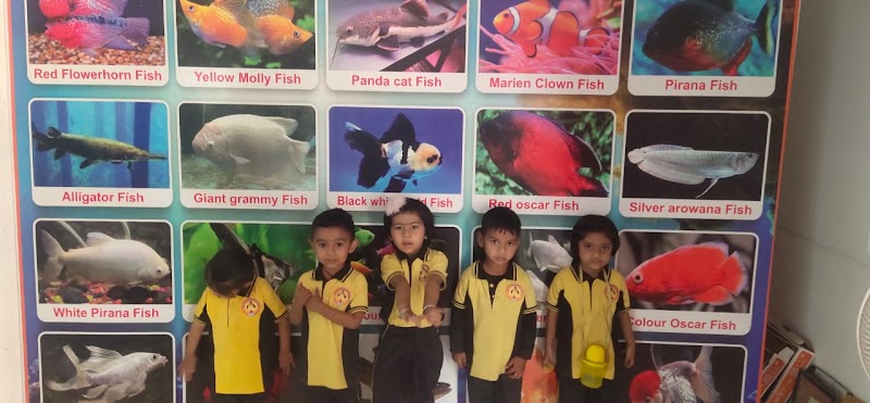 Kent kids academy - Kent kids academy Mig 239, Dindayal Colony Rd, Mangla, Bilaspur, Chhattisgarh 495001, India