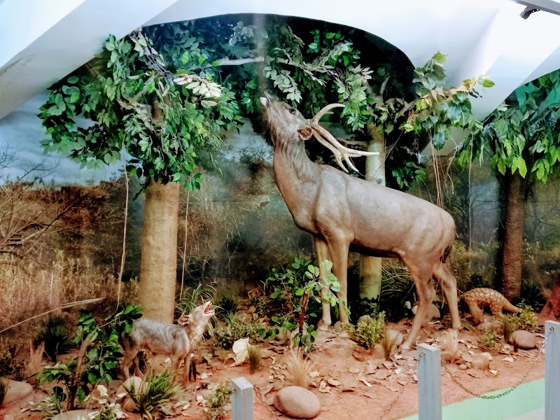 Nature Interpretation Centre, Sukhna Lake - Nature Interpretation Centre, Sukhna Lake PRQJ+QCR, Bhagwanpura, Chandigarh, 160001, India